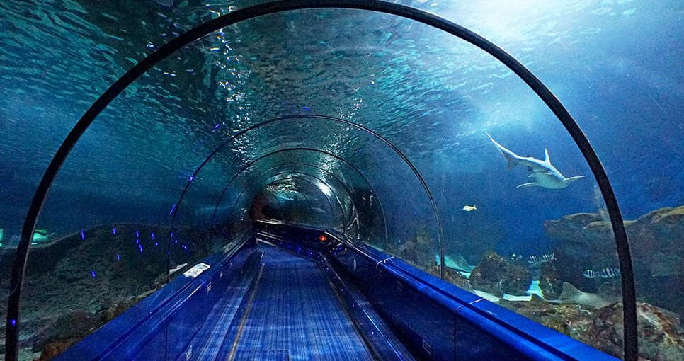 Colombier-fiche-activites-sports-loisirs-marineland-bloc1-grande