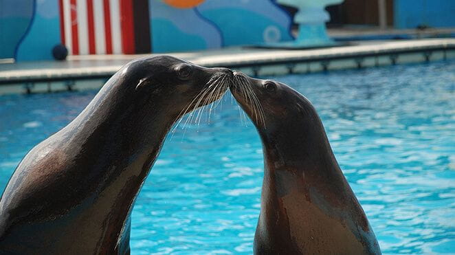 Colombier-fiche-activites-sports-loisirs-marineland-bloc1-petite