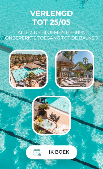 Balneo 2025 offer